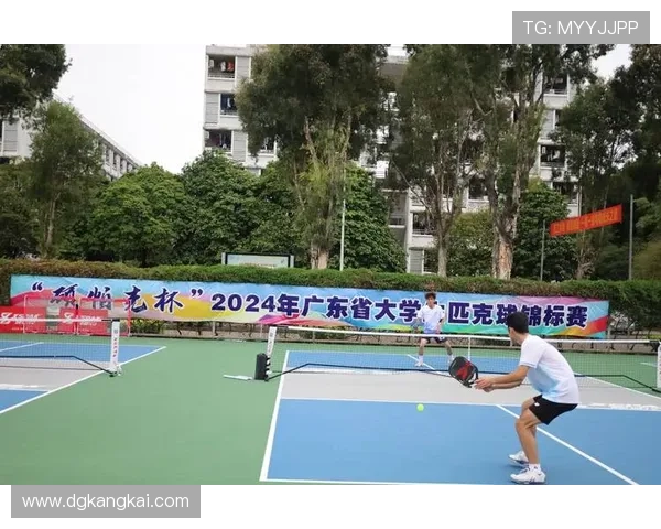 深圳羽毛球队总决赛战术分析与表现评估探讨