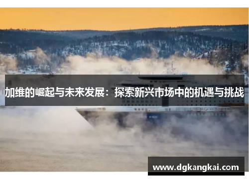 加维的崛起与未来发展：探索新兴市场中的机遇与挑战